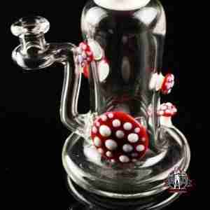 Snic Clear Mushroom Rig